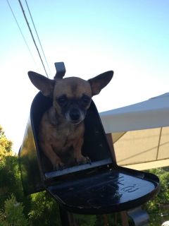 Portate i vostri amici