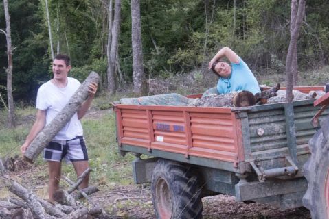 Chi raccoglie legna e chi si riposa